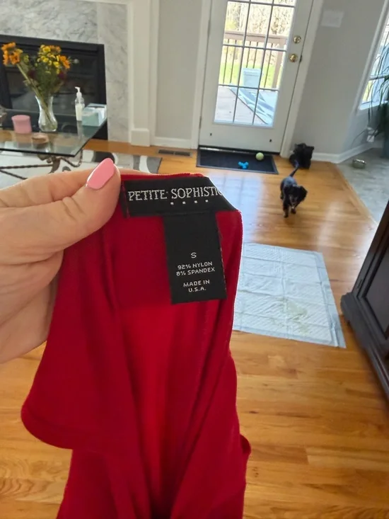 Petite Sophisticate Red Sleeveless V-Neck Midi Dress with Decorative Ring - Picture 6 of 8